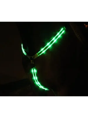 Animal Light LED Leuchtvorgeschirr 2.0 - Grün Mega-Angebot