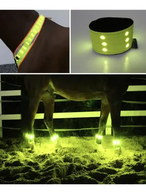 Markenware Animal Light Leucht Set - Gelb