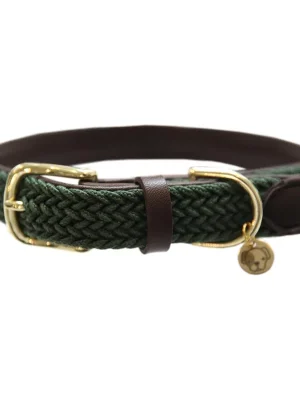 Begrenztes Angebot Kentucky Dogwear Hundehalsband Nylon geflochten - olive green
