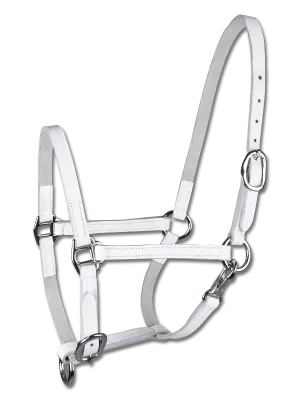 Schnäppchen Star Fohlenvorführhalfter Leder - Weiss