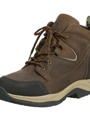 Jetzt Kaufen Suedwind Footwear Stall- & Arbeitsschuh Field Lace GripFTX - Chocolate