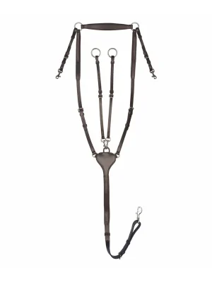 Saisonangebot X-Line Vorderzeug Professional X-Line - Braun