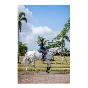 Wochenendangebot Horseware Ausreitdecke Amigo - Silver/Titanium Grey & Silver