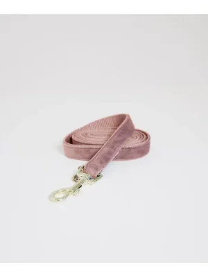 Aktuell Kentucky Dogwear Hundeleine Velvet - old rose