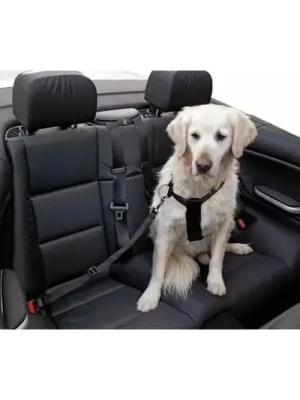 Expressversand Kerbl Pet Sicherheitsgurt für Hunde - Schwarz