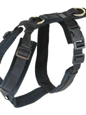 Billig Kentucky Dogwear Hundegeschirr Active Velvet - Black
