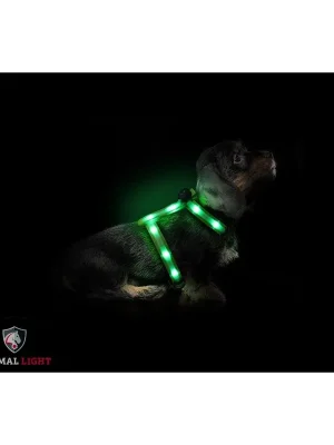 Animal Light Leucht - Hundegeschirr "Ninja" - grün Top-Preis