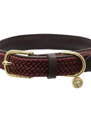 Aktuell Kentucky Dogwear Hundehalsband Nylon geflochten - bordeaux