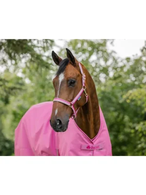 Zertifiziert Bucas Halfter Dublin - Aurora Pink
