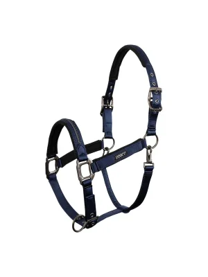 ANKY® Halfter Victory Mega-Angebot