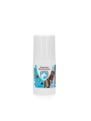 Top-Angebot Hervorragender Schutz Roll-on