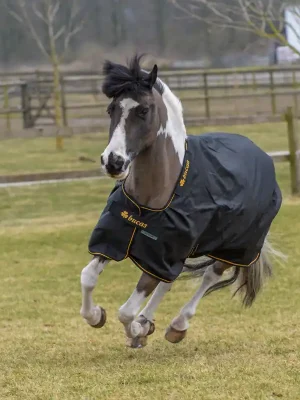 Abverkauf Bucas Irish Turnout Light 50g Classic 1200D - Poney - Noir/ Or , 120