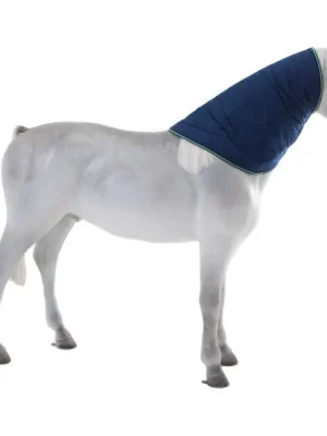 Aktuell Bucas Smartex Turnout Combi Neck 300g - bleu - Couvre-cou , S