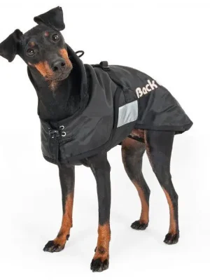 Ausverkauf Back on Track manteau standard - couverture pour chien - S (21cm - 40cm) - noir , 21