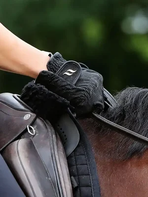 Angebot Gants d'équitation Back on Track - noir , 7.0