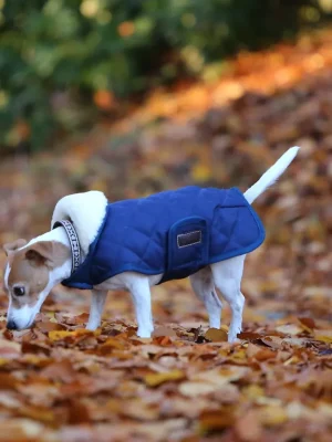Bestpreis Kentucky Dogwear couverture pour chien 160g - Marine , L