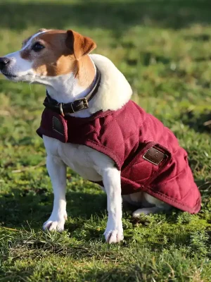 Bestseller Kentucky Dogwear couverture pour chien 160g - Bordeaux , XL