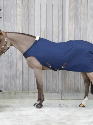 Aktuell Kentucky Horsewear Walker Rug 160g - marine , 155