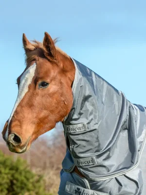 Abverkauf Bucas Smartex Turnout Combi Couvre-cou 300g - Iron Gate , S