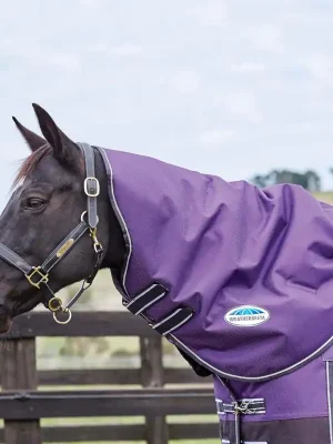 Begrenztes Angebot Weatherbeeta ComFiTec Plus Dynamic Neck Rug Medium 220g - violet/noir , S