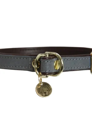 Begrenztes Angebot Kentucky Dogwear collier Dog Collar "Loop" - Grey  , M