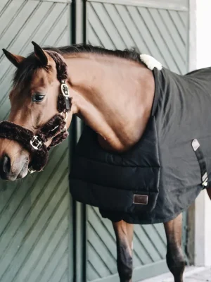 Versand Am Gleichen Tag Protège-poitrail Kentucky Horsewear BIB Eté - noir