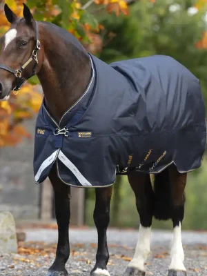 Begrenztes Angebot Horseware Amigo Bravo 12 XL Original Turnout Medium 250g - Marine & Or , 130