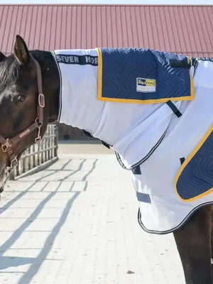 Echt Kit d'applicateurs equimag expert Air - couverture pour chevaux pour la magnétothérapie équine