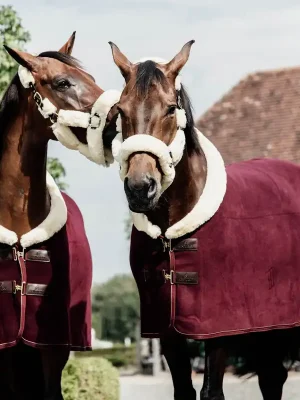 Top-Seller Kentucky Horsewear Fleece Show Heavy - bordeaux , 160