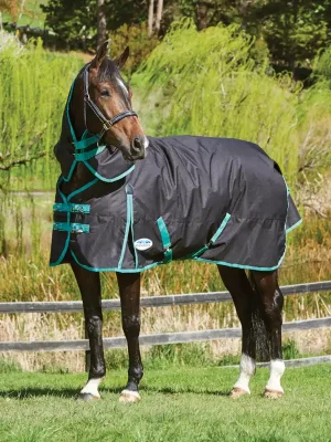Aktuell Weatherbeeta Green-Tec 900D Detach-A-Neck Medium 220g - Noir/Vert Bouteille , 120