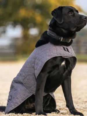 Abverkauf Back on Track Haze Collection Manteau pour chien - gris , 74