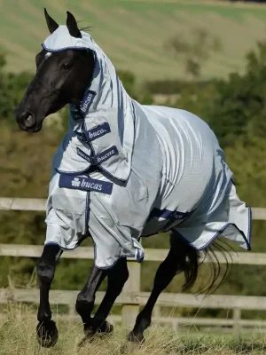 Abverkauf Bucas Buzz-Off X Full Neck Big Neck - Gris , 135
