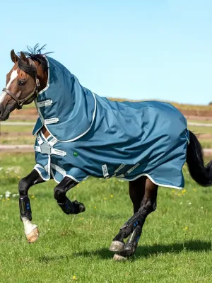Versand Am Gleichen Tag Horseware AmEco Bravo 12 Plus Turnout 100g - Gris , 155