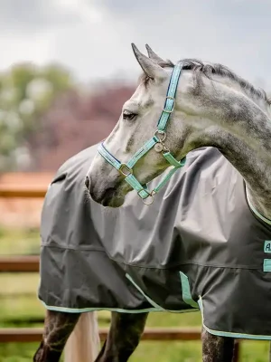 Wochenendangebot Horseware FieldSafe Headcollar - Blue Haze, Warmblut