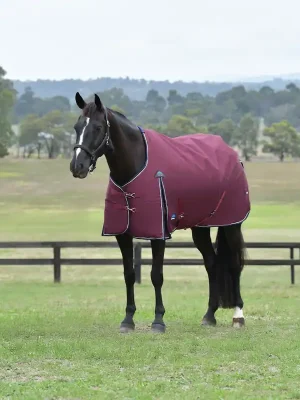 Aktuell Weatherbeeta Comfitec Essential Turnout 50g - Navy/Burgundy, 165