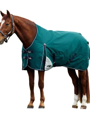 Abverkauf Weatherbeeta Comfitec Plus Dynamic Turnout 0g - Navy/Forest Green, 115