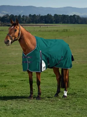 Abverkauf Couverture d’extérieur Weatherbeeta Comfitec Plus Dynamic Turnout 220g - Navy/Forest Green, 120