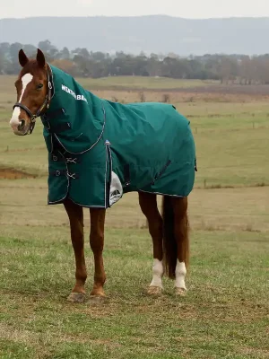 Zertifiziert Weatherbeeta Comfitec Plus Dynamic Turnout Detach-A-Neck 0g - Navy/Forest Green, 160