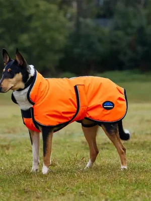 Begrenztes Angebot Weatherbeeta Comfitec Reflective 300D Deluxe Showerproof Dog Coat - Yellow, 55