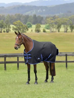 Angebot Couverture d’extérieur WeatherBeeta Comfitec Tyro Turnout Standard Neck 220g - Navy/Charcoal, 140