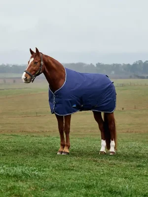 Zertifiziert Weatherbeeta Comfitec Tyro Turnout Standard Neck 50g - Navy/Charcoal, 105