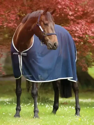 Aktuell Horseware Amigo Net Cooler - navy/silver , 125