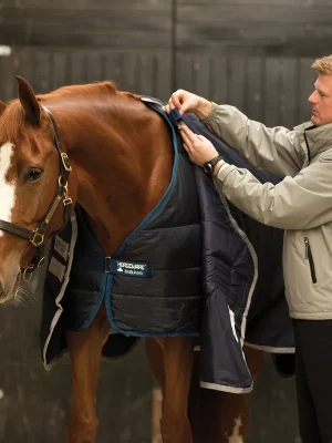Zertifiziert Horseware Unterdecke Liner Pony 100g - Navy with Silver , 80