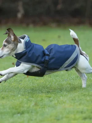 Abverkauf Bucas Freedom Dog 300g - Navy/Silver , 75