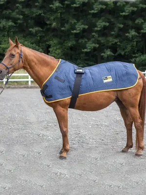 Equimag expert Grundausstattung - Pferdedecke für die Magnetfeldtherapie bei Pferden Beliebt