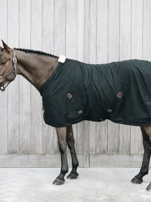 Top-Seller Kentucky Horsewear Cotton Sheet - schwarz 0g , 145