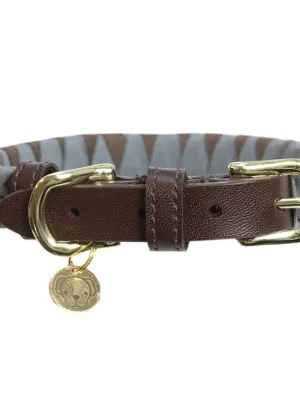 Ausverkauf Kentucky Dogwear Halsband Dog Collar Triangle - Brown  , M