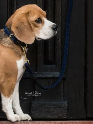 Bestseller Kentucky Dogwear Hundeleine Plaited Nylon Dog Lead - Navy  , 120