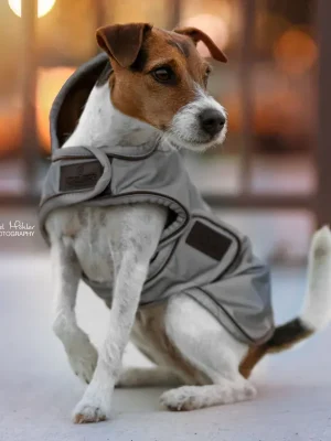 Begrenztes Angebot Kentucky Dogwear Hundedecke Dog Coat Reflection Water Repellent - silver , S/M