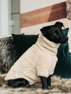 Echt Kentucky Dogwear Sweater Teddy Fleece - Beige , XXL